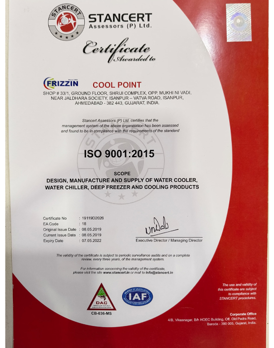 Frizzin SS Deep Freezer