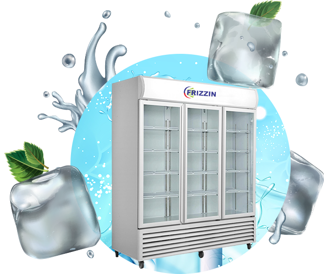 Frizzin India Manufacturing Unit